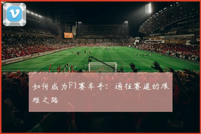 如何成为F1赛车手：通往赛道的艰难之路