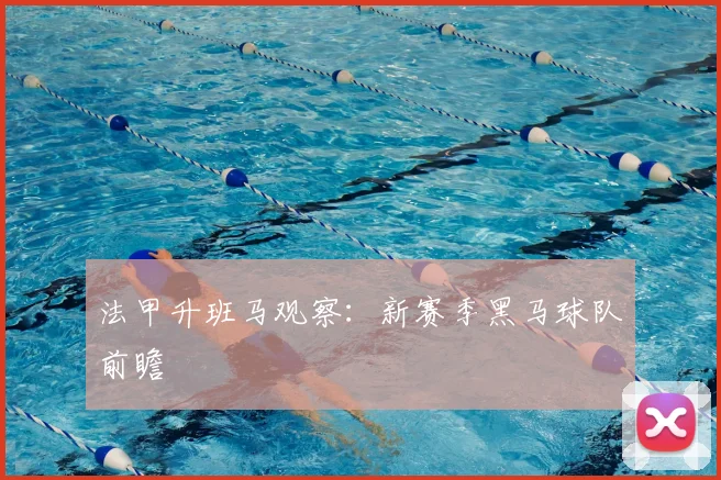 法甲升班马观察:新赛季黑马球队前瞻