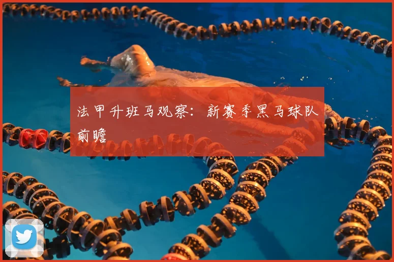 法甲升班马观察：新赛季黑马球队前瞻