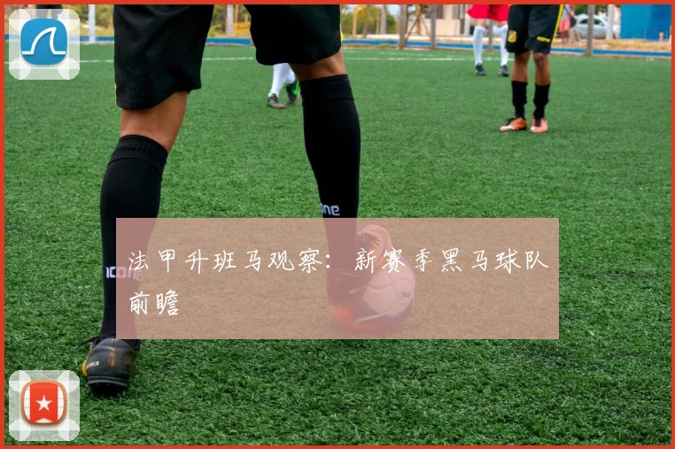 法甲升班马观察:新赛季黑马球队前瞻