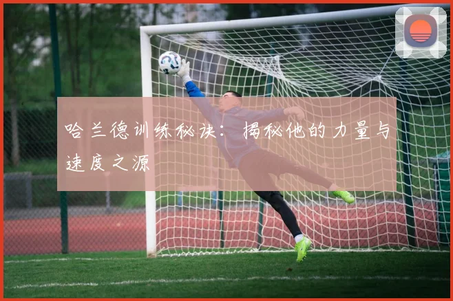 哈兰德训练秘诀：揭秘他的力量与速度之源